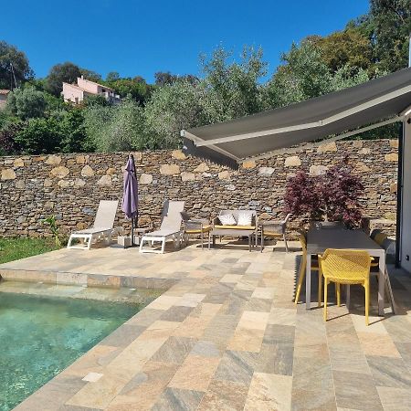 Rez De Villa Avec Piscine Privee, Wifi, Jardin Cloture Penta di Casinca Bagian luar foto