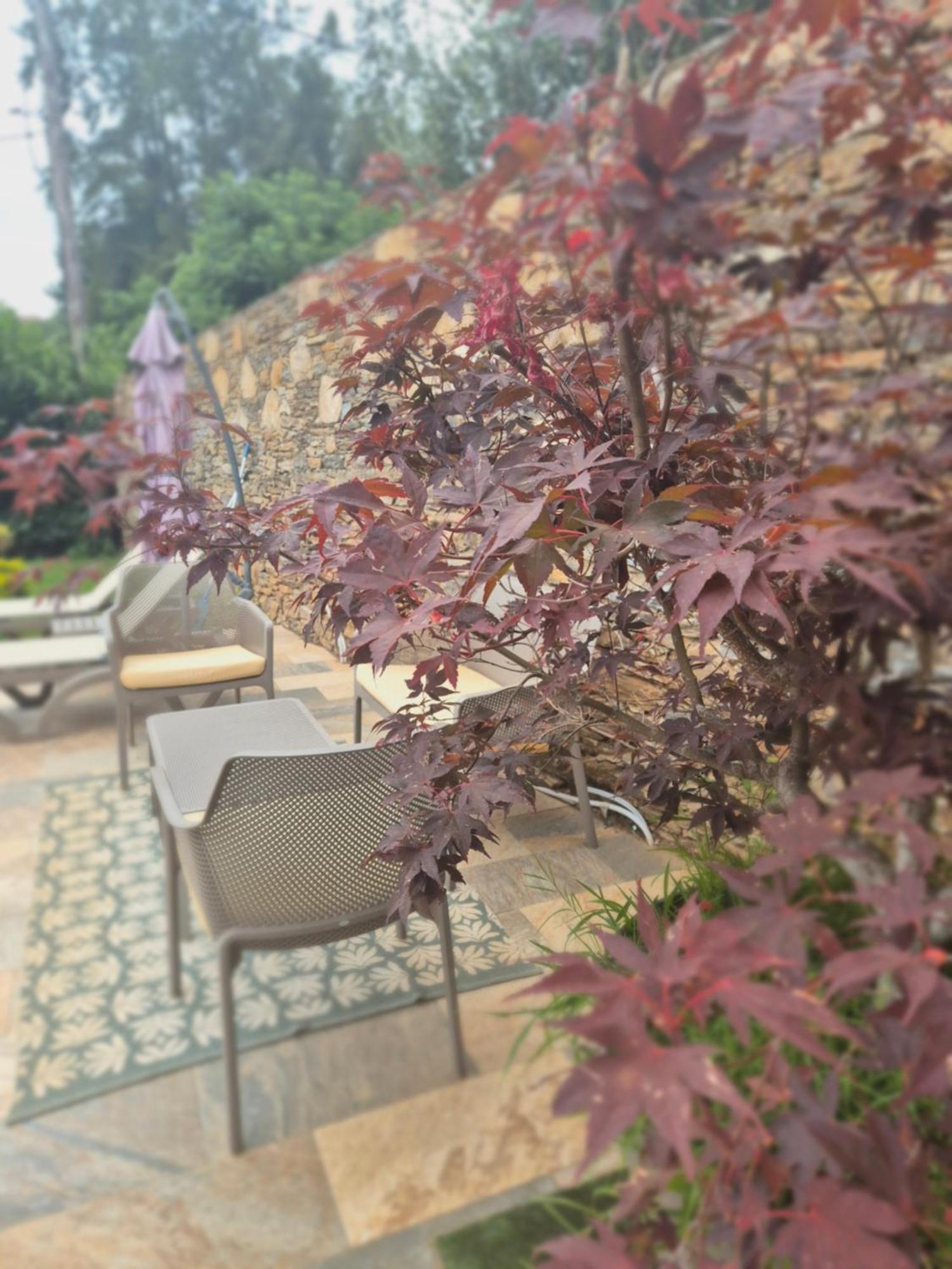 Rez De Villa Avec Piscine Privee, Wifi, Jardin Cloture Penta di Casinca Bagian luar foto